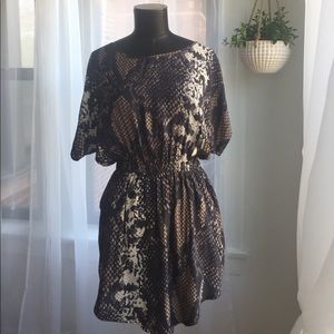 Express silky dress